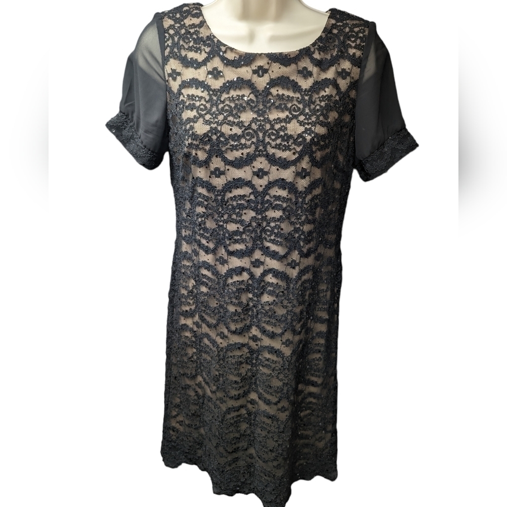 R&M Richards Petite Lace Lined Cocktail Dress Sz 10P